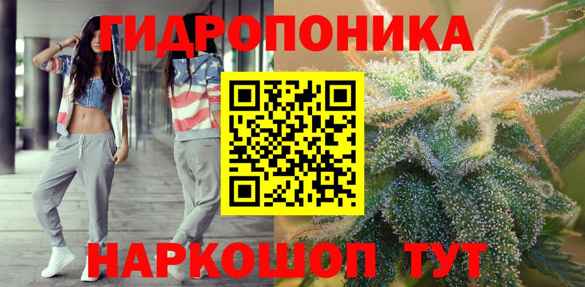 Бошки марихуана семена  Канабис Ganja  Каннабис план  Марихуана Ganja  Кириши  Вход с VPN 